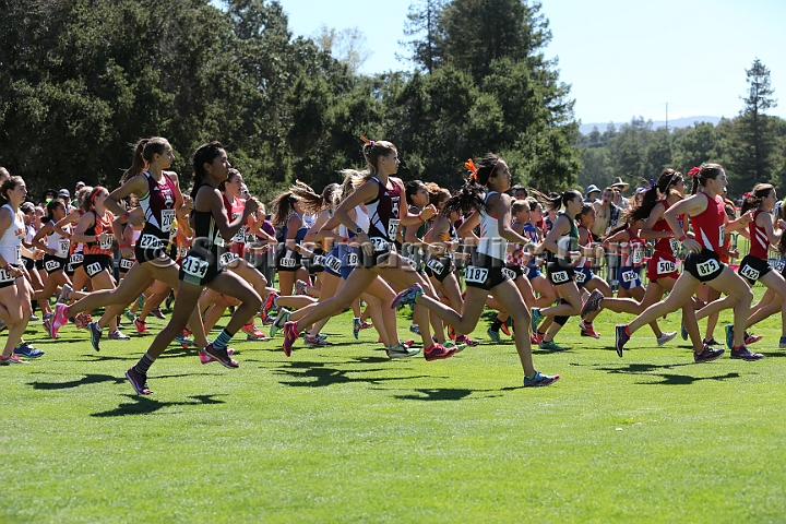 2015SIxcHSD2-112.JPG - 2015 Stanford Cross Country Invitational, September 26, Stanford Golf Course, Stanford, California.